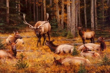 deer 02 Oil Paintings